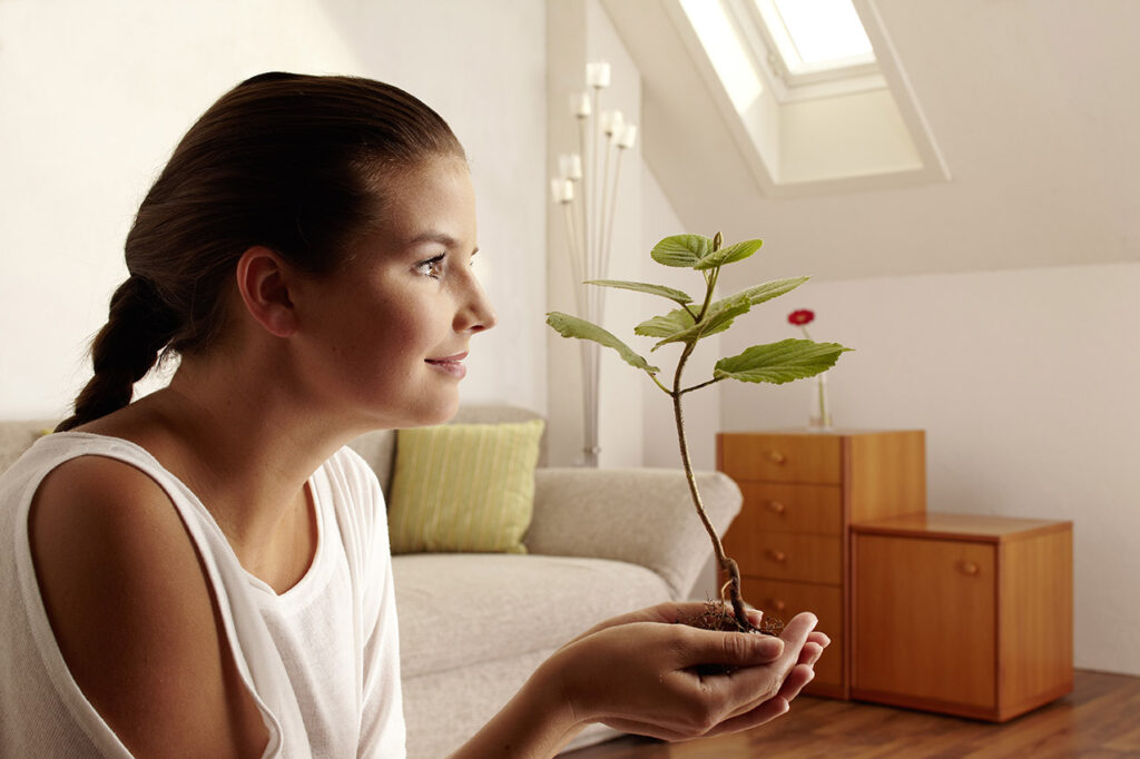 cellulóz szigetelés